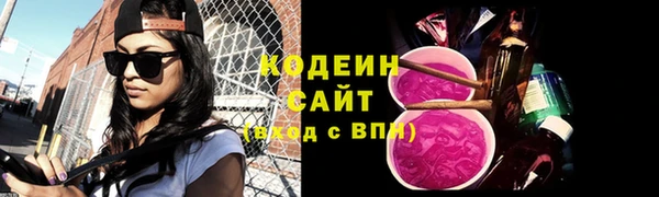 гашик Инсар