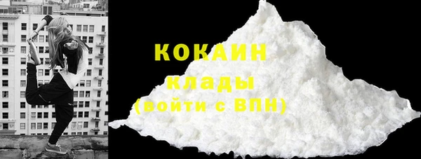 трава Инта