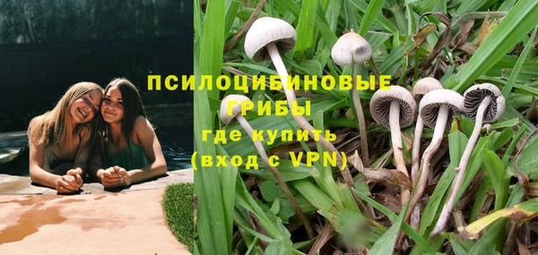 трава Инта