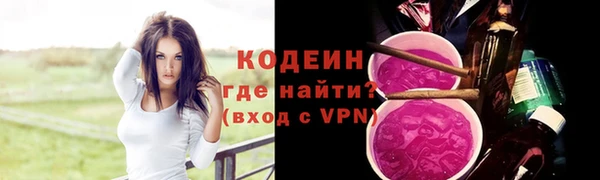 трава Инта