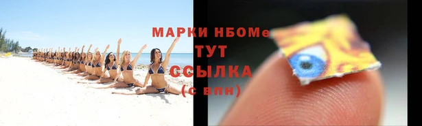 трава Инта