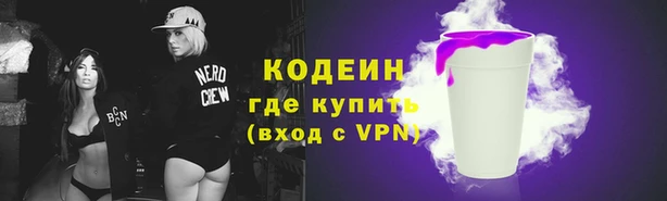 гашик Инсар