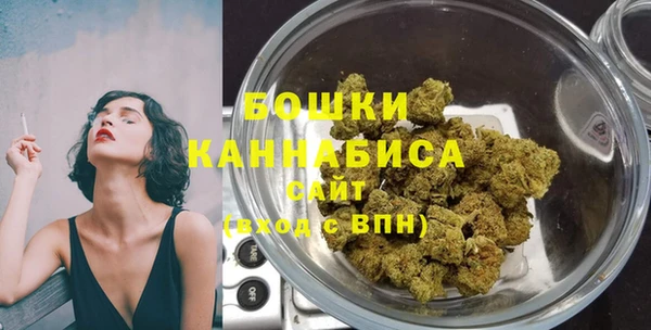 гашик Инсар