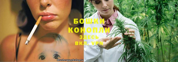 гашик Инсар