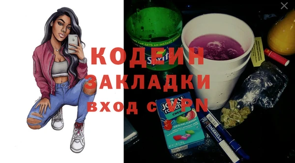 трава Инта
