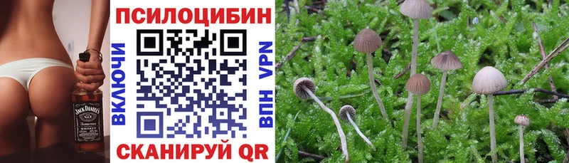 Галлюциногенные грибы Psilocybe  Купить закладки  Дубна 